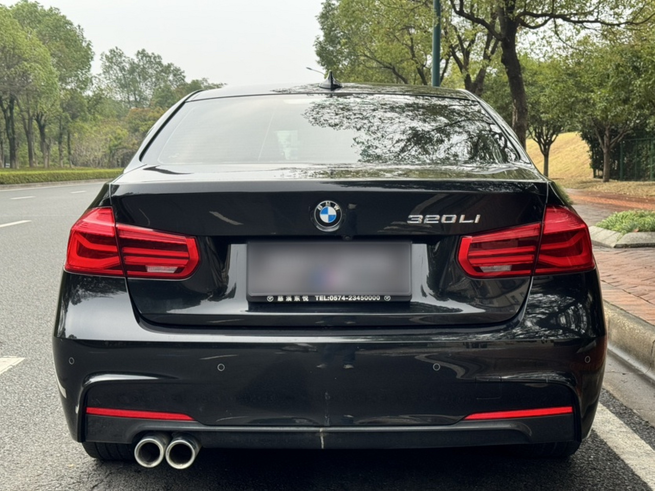 3 Series 2019 320Li M Luxury photo 5