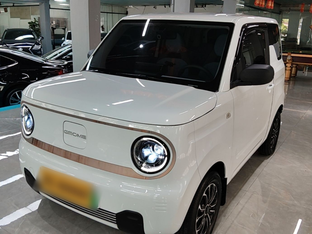 2023 Panda mini 200km Endurance Bear