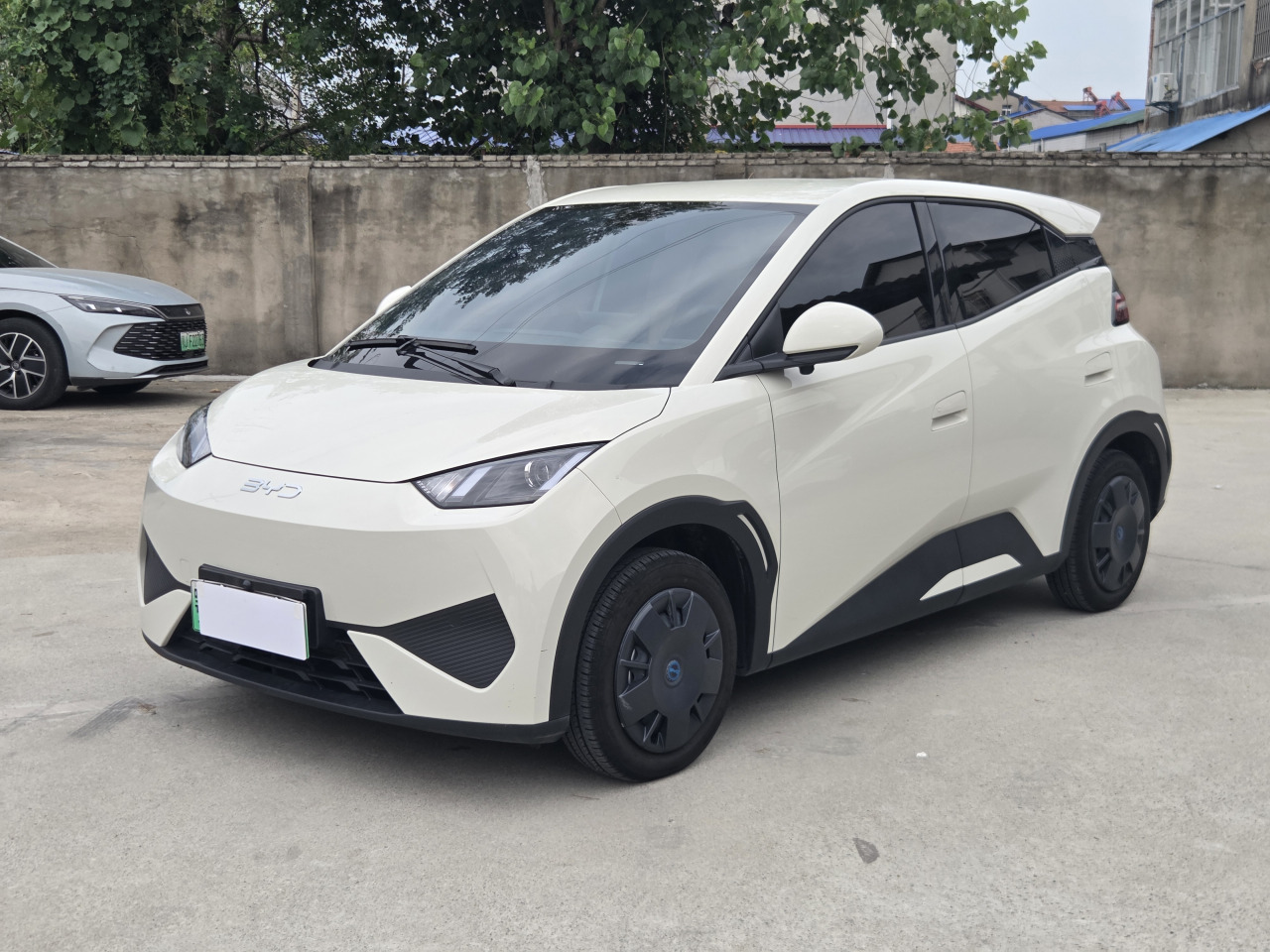 Seagull 2025 ADAS 305km