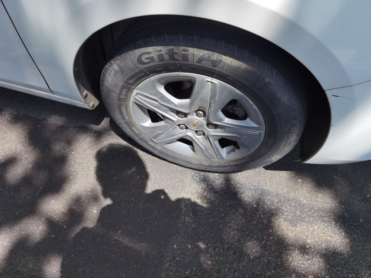 Cavalier 2019 320 AT photo 2