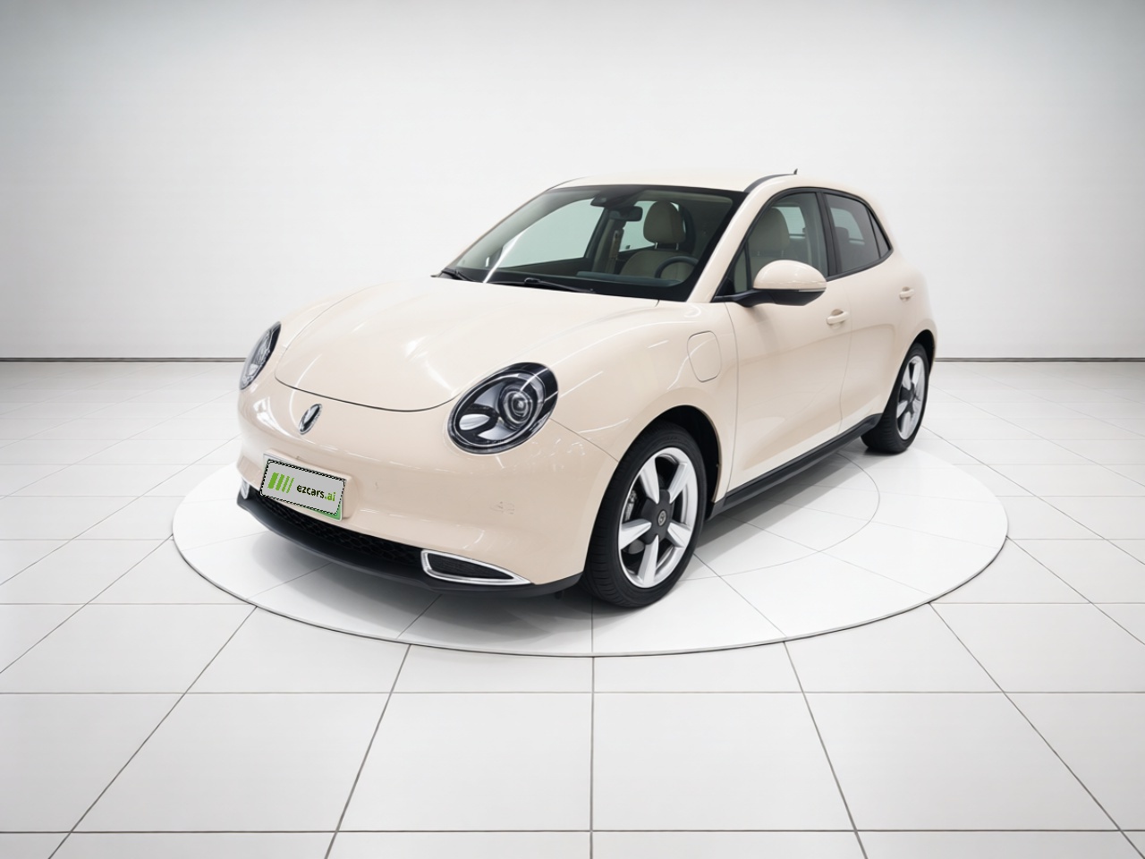 Good Cat 2023 401km Standard Range Luxury LFP