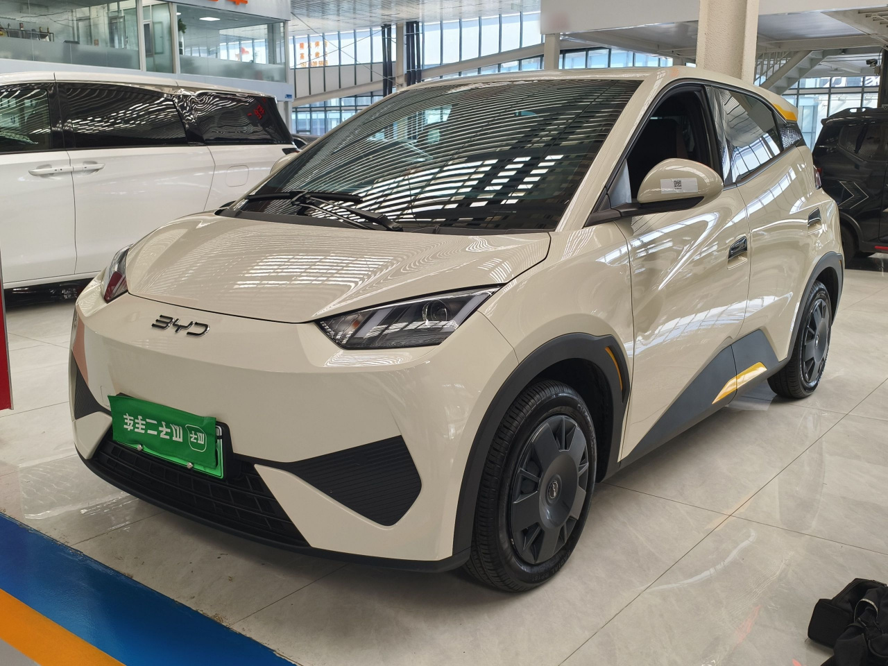 Seagull 2025 ADAS 305km