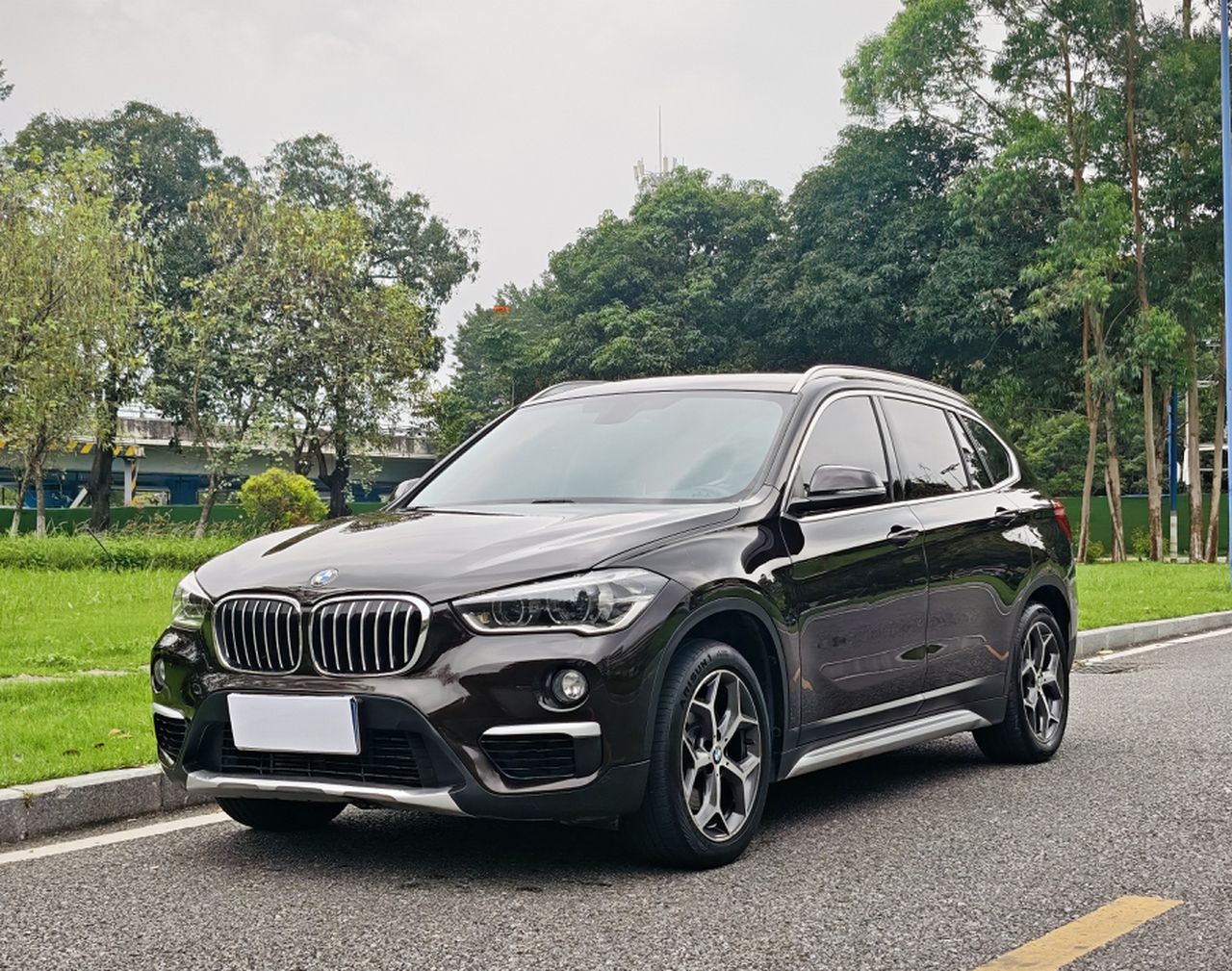 X1 2019 xDrive20Li Exclusive