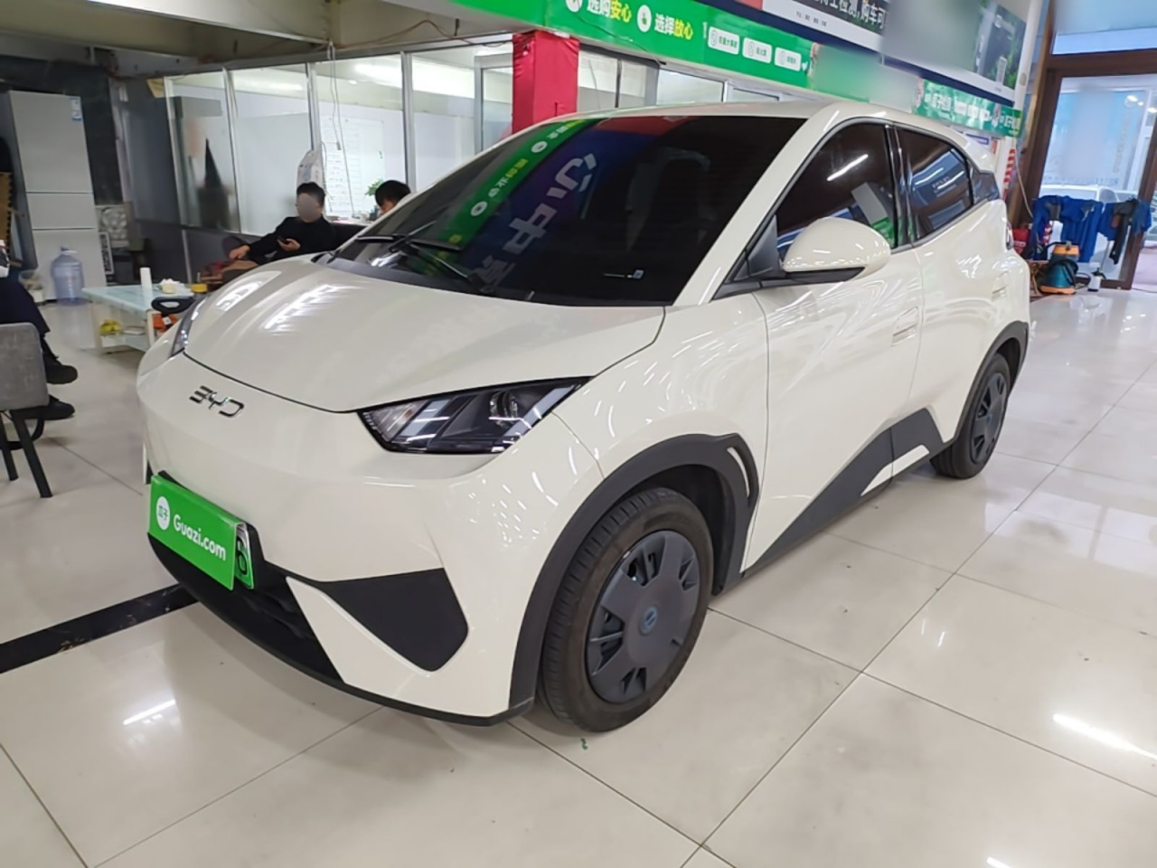 Seagull 2025 ADAS 305km