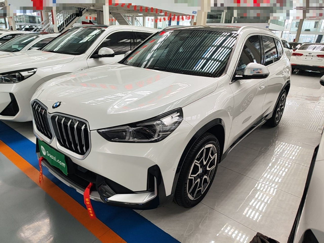 X1 2023 sDrive25Li X Design Package