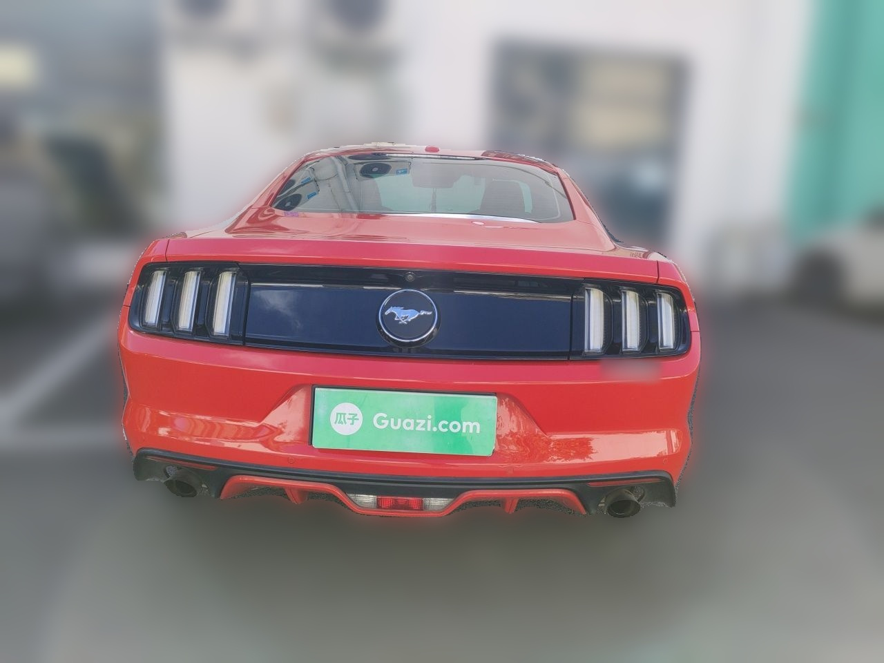 Mustang 2017 2.3T Performance photo 5