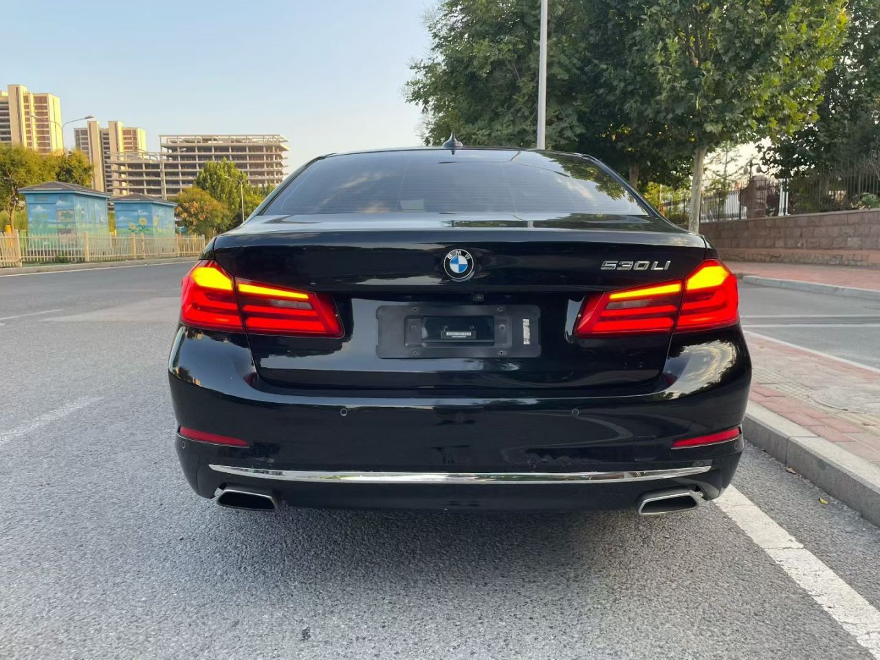 5 Series 2020 530Li Leading Luxury photo 3