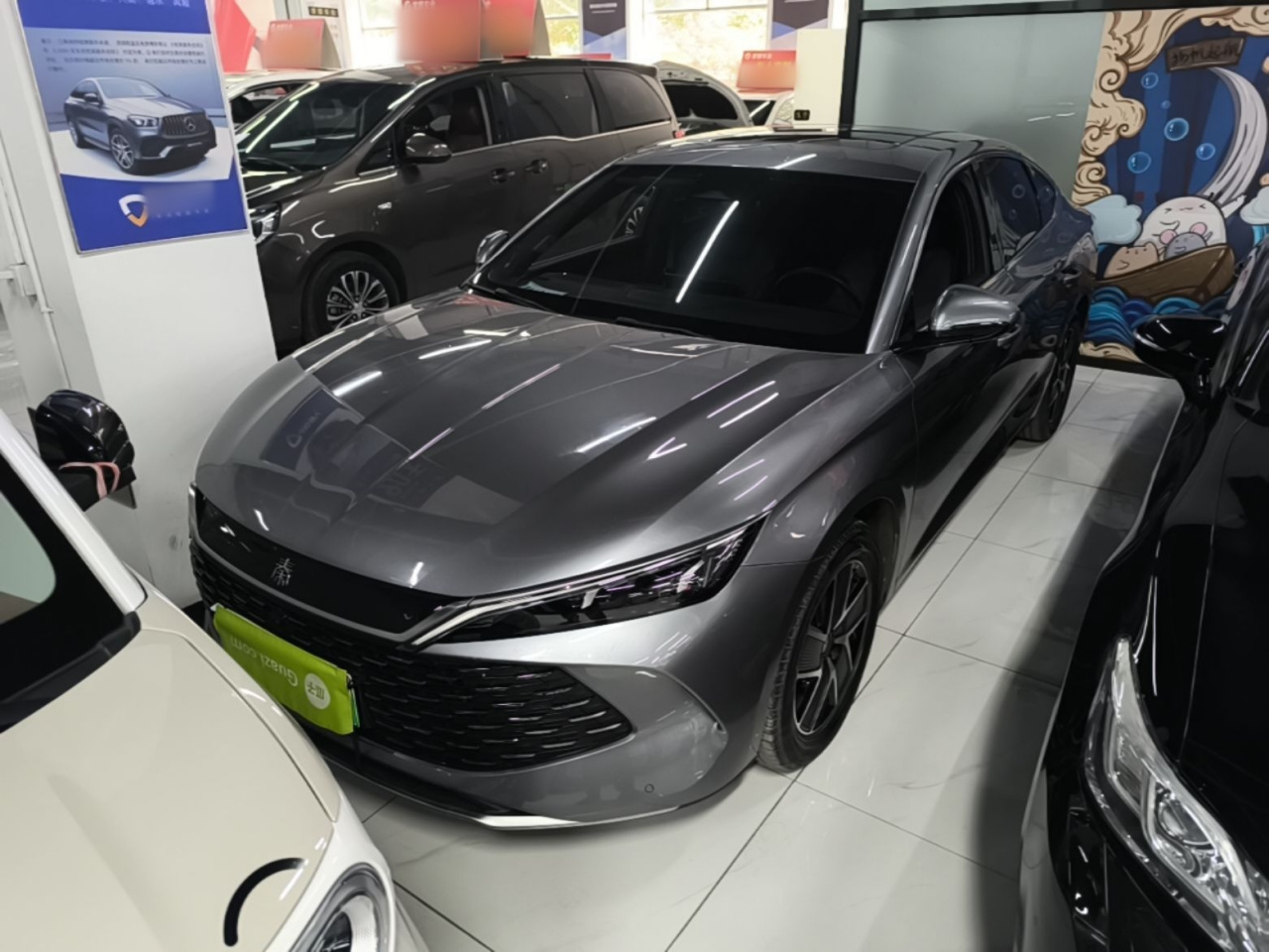 Qin L 2024 DM-i 120KM