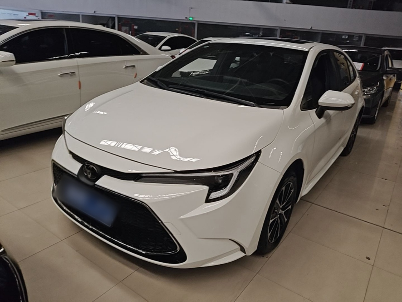 Levin 2023 185T CVT Luxury