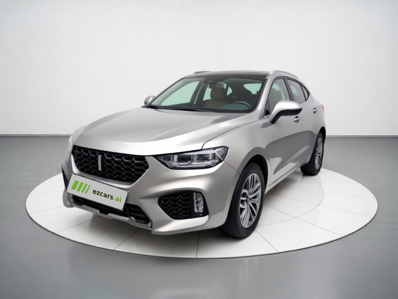 VV5 2019 Upgraded 2.0T RWD China VI