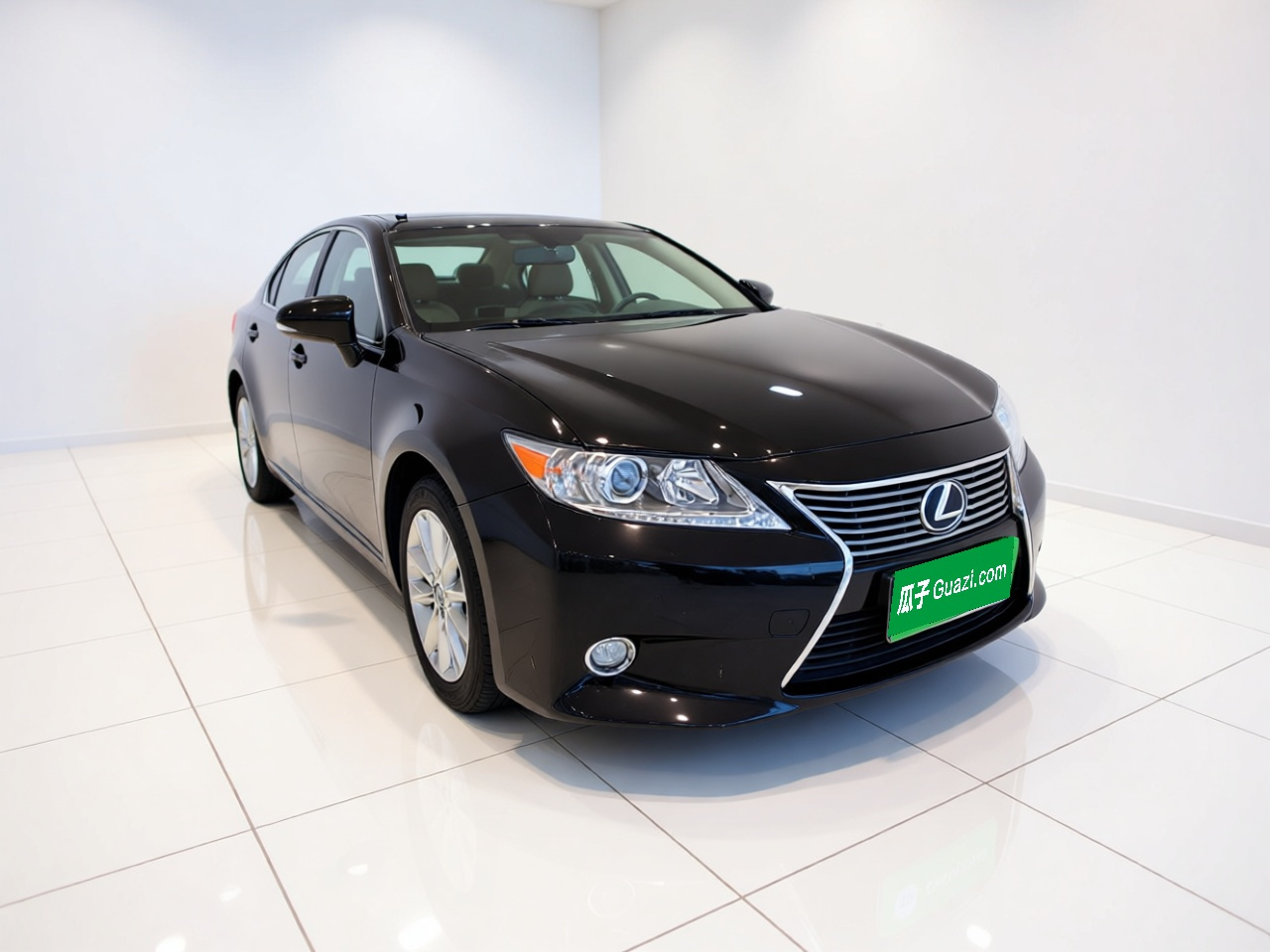 ES 2013 300h Elite photo 3