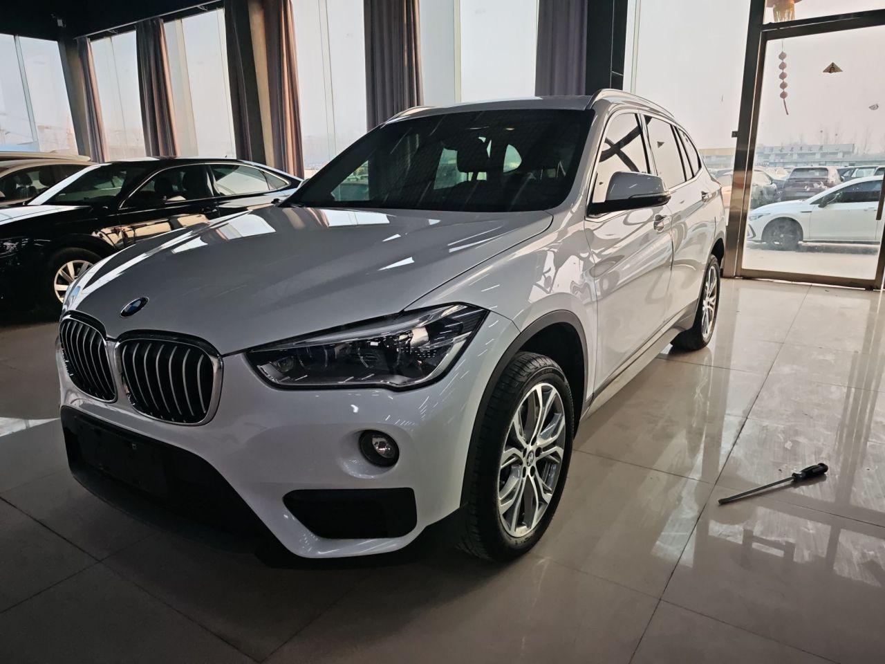 X1 2019 sDrive20Li Leading