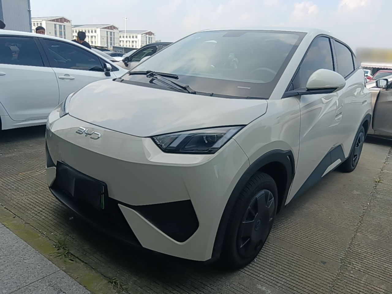Seagull 2025 ADAS 305km