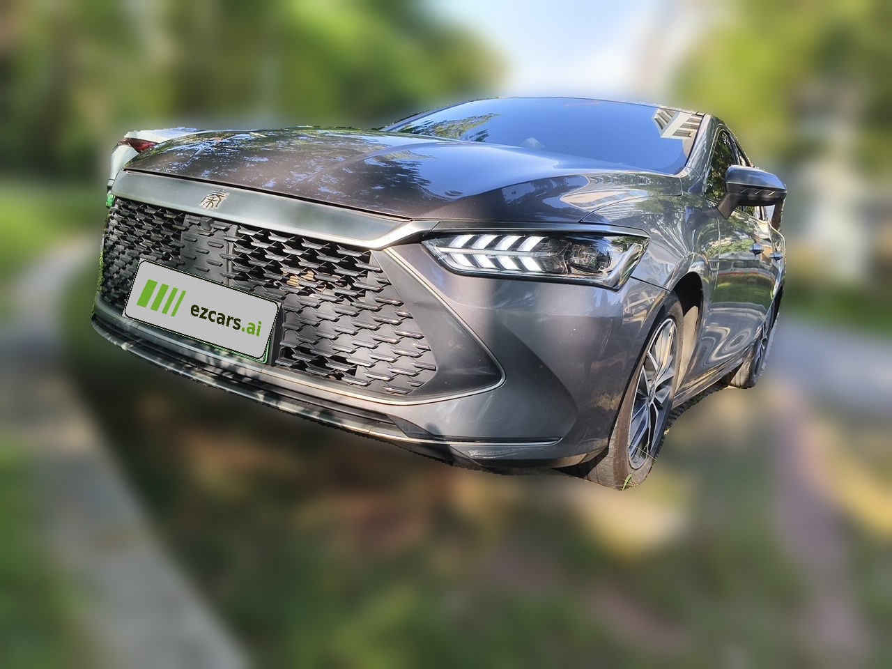 Qin PLUS 2021 DM-i 55KM Flagship