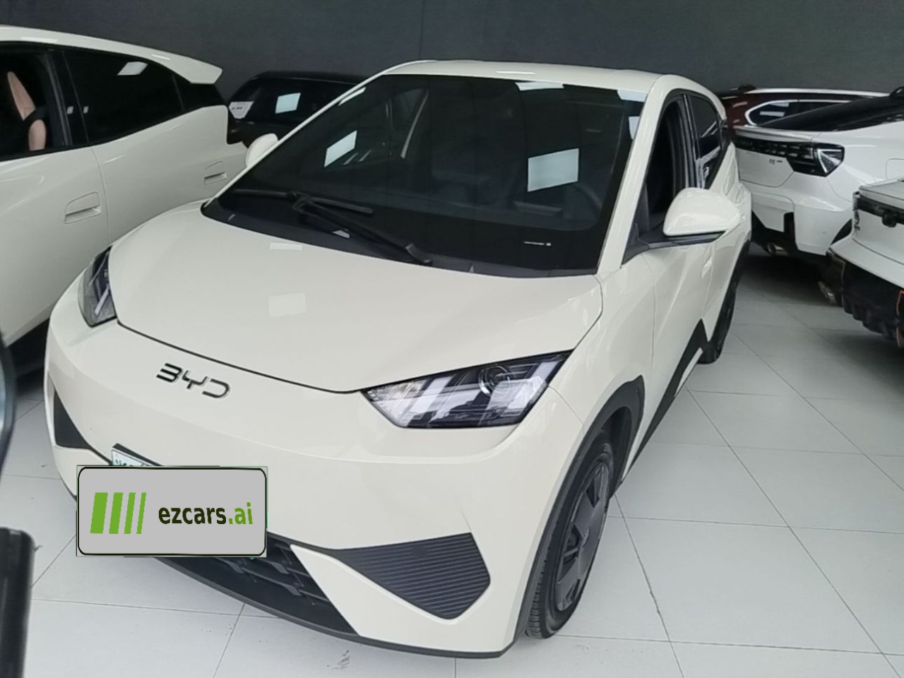 Seagull 2025 ADAS 305km