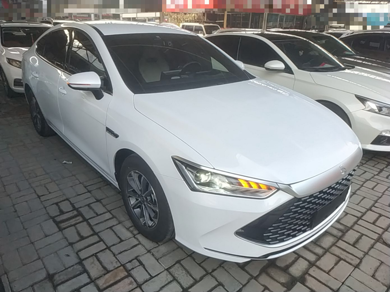 Qin PLUS 2024 Honor DM-i 55KM Leading photo 3