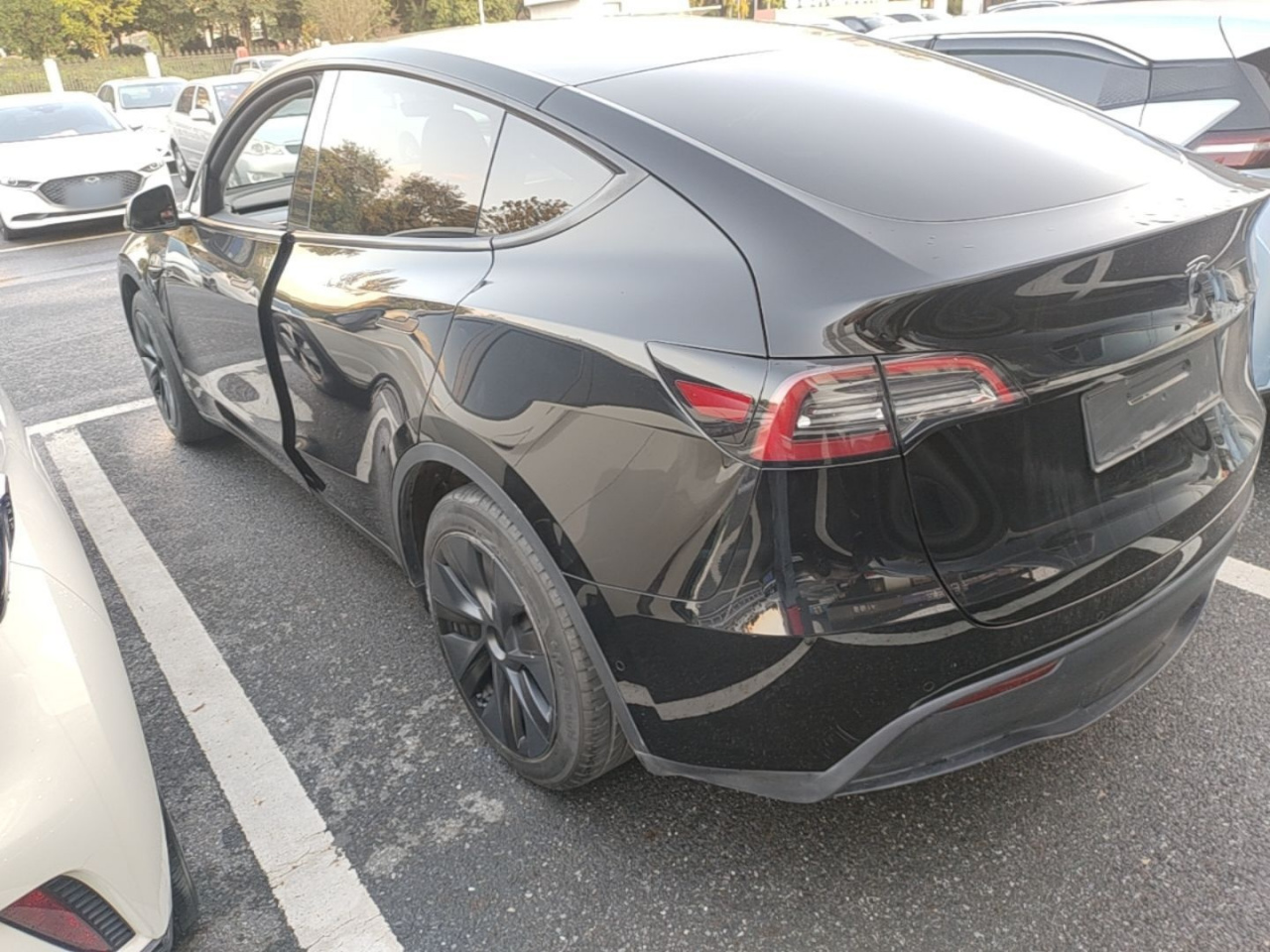 Model Y 2023 RWD photo 4