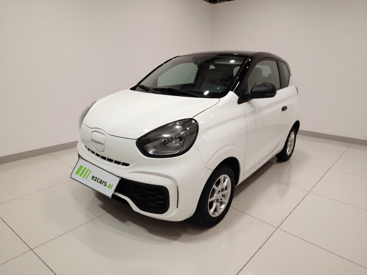 Clever R 2022 311km Yuan