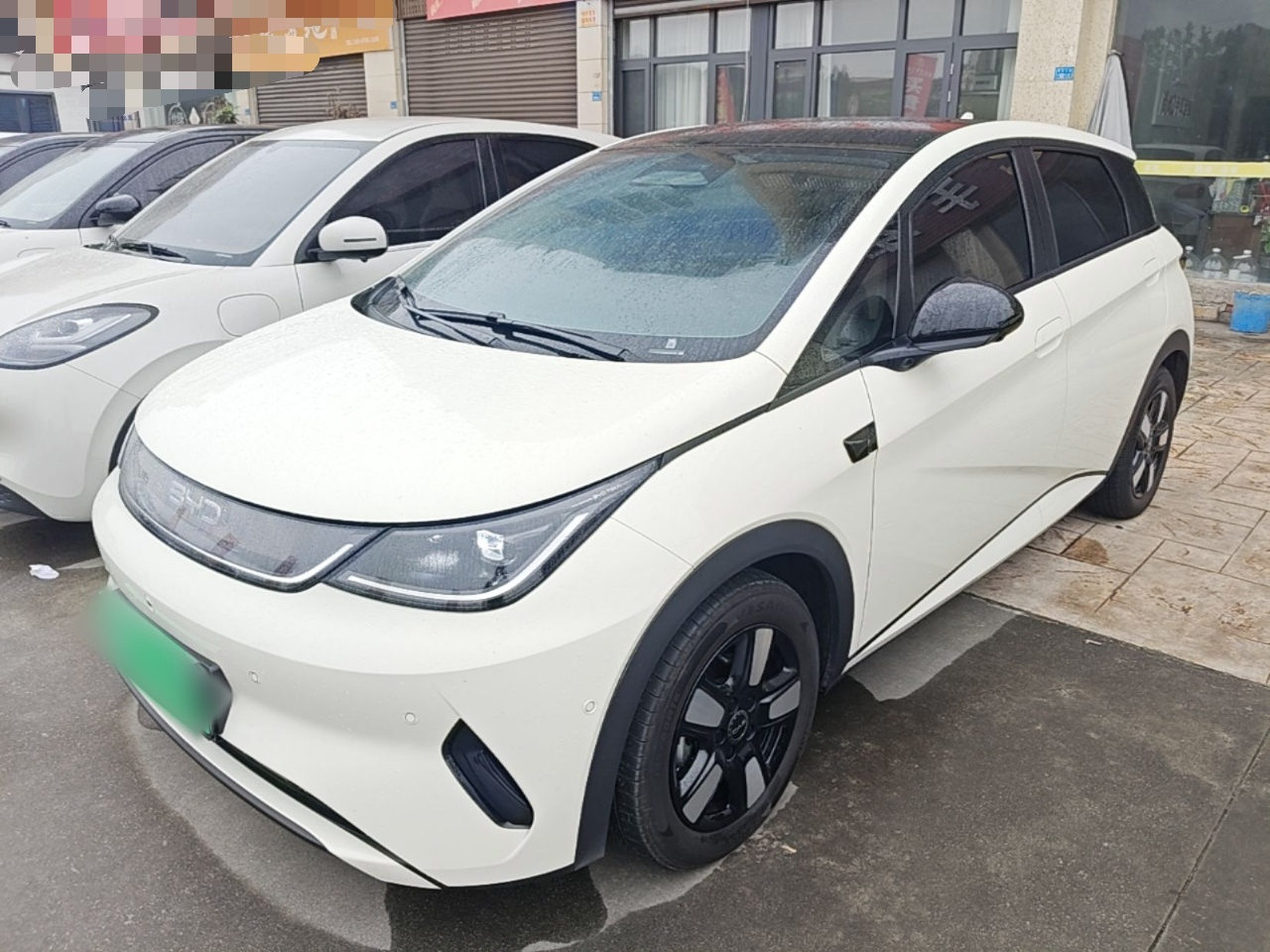 Dolphin 2025 ADAS 410km Fashion