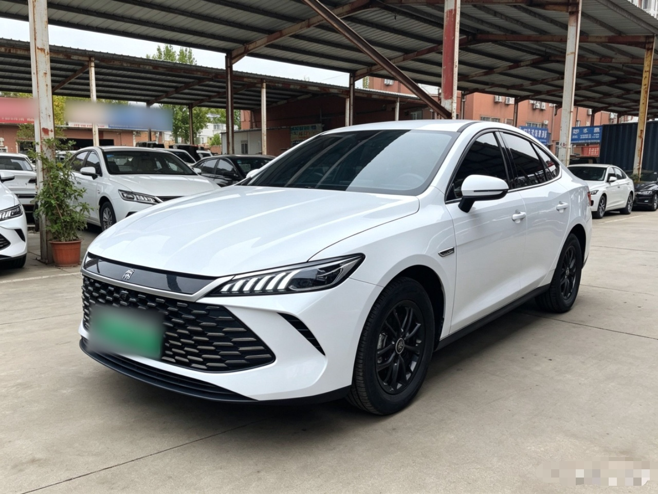 Qin PLUS 2025 DM-i ADAS 128KM Progressive