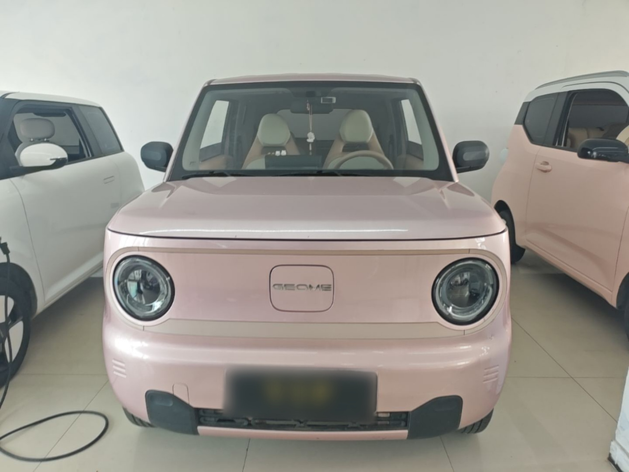 2023 Panda mini 200km Endurance Bear photo 2
