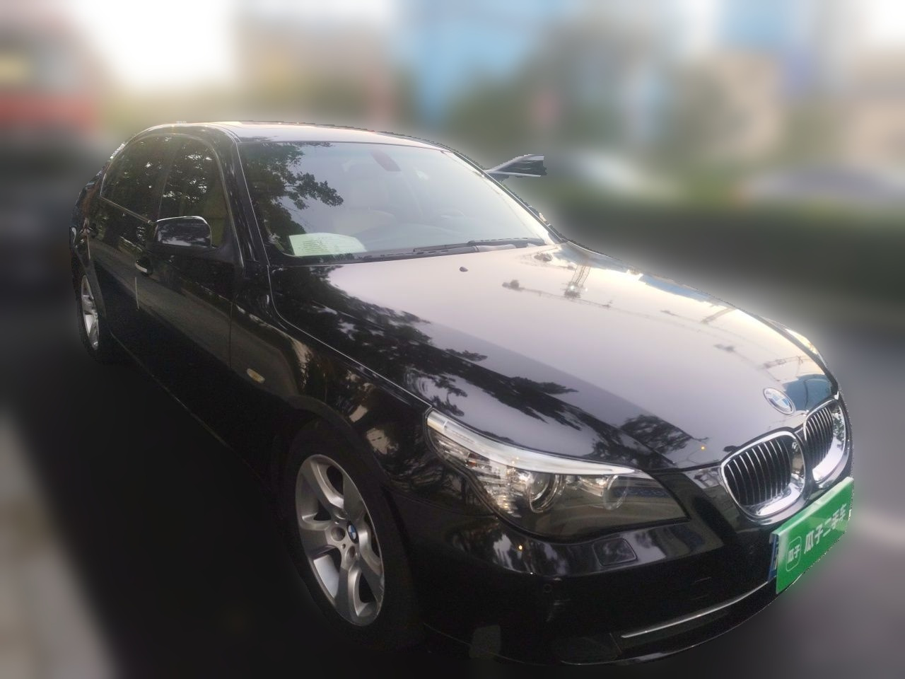 5 Series 2010 523Li Standard photo 3