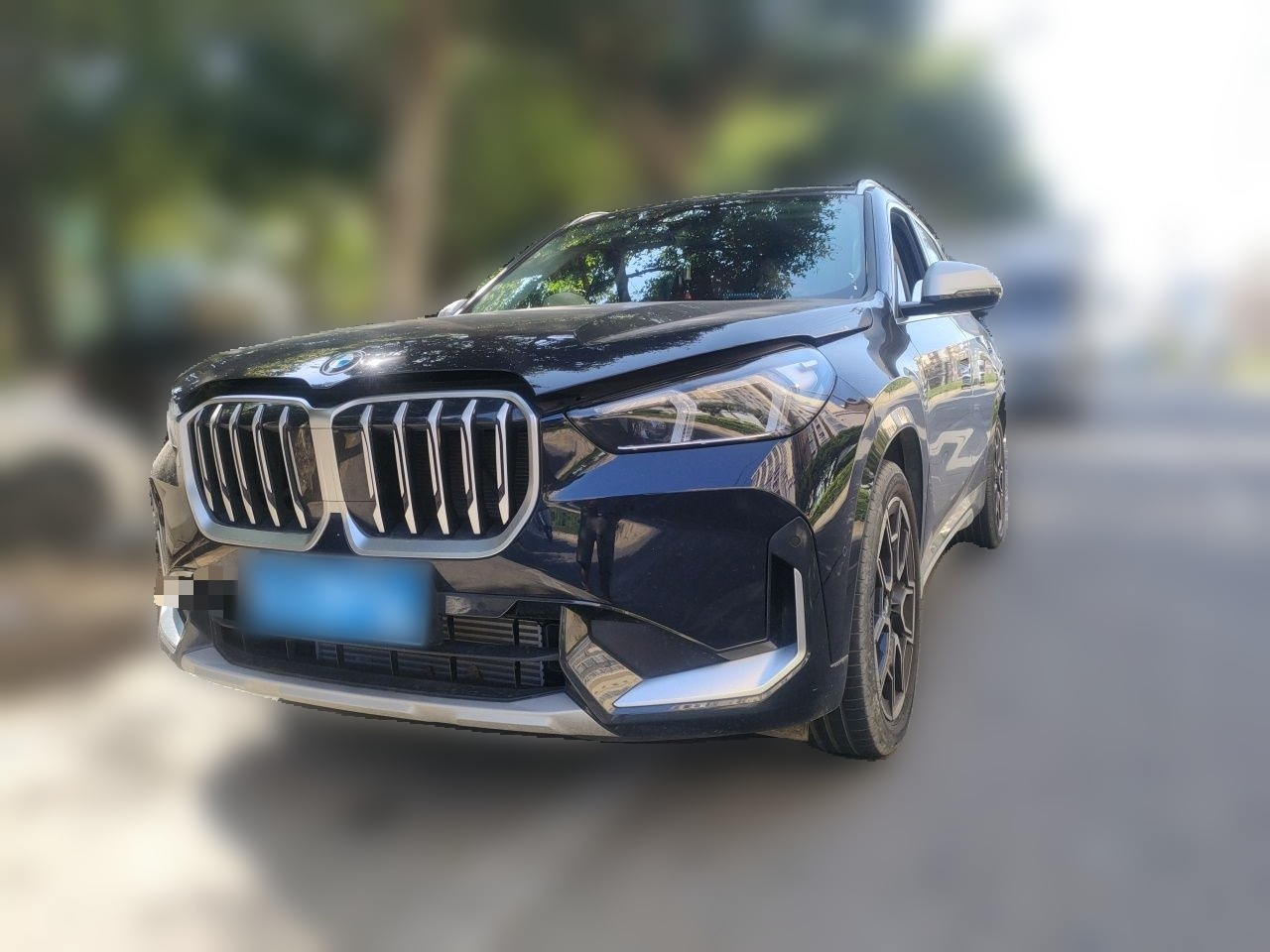 X1 2024 sDrive25Li X Design Package