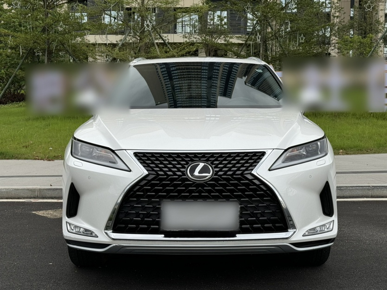 RX 2020 Facelift 300 RWD Elite photo 3