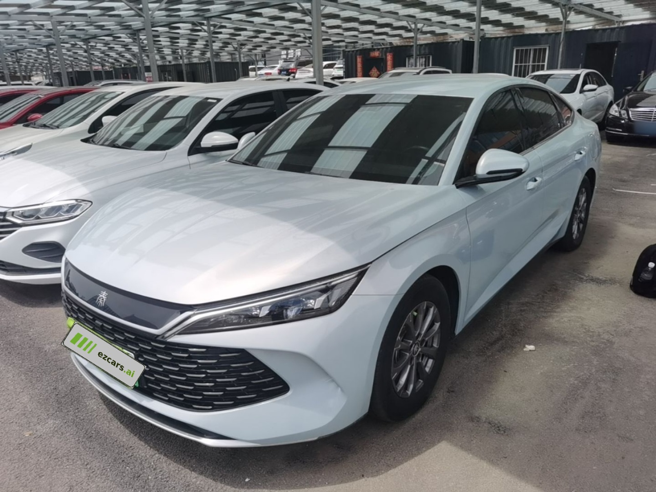 Qin L 2024 DM-i 80KM Leading