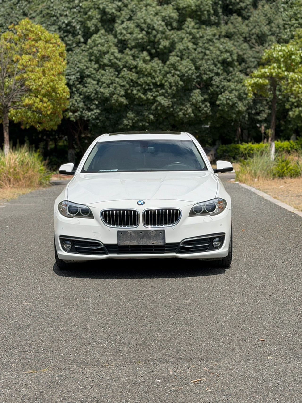 5 Series 2014 525Li Luxury Design Package photo 2