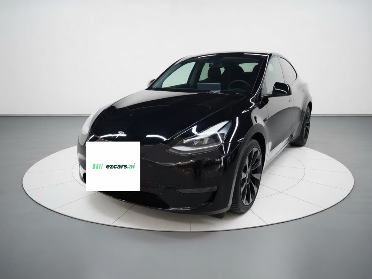 Model Y 2021 Standard Range RWD