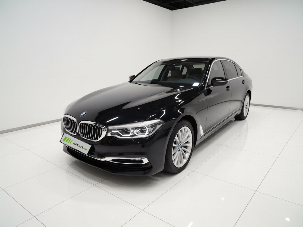 5 Series 2020 530Li Exclusive Luxury