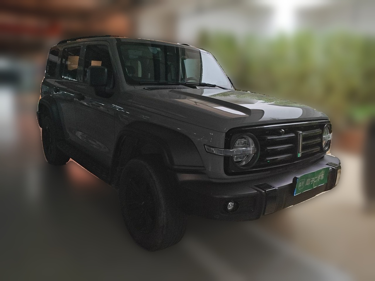 300 2021 Off-road 2.0T Conqueror photo 3