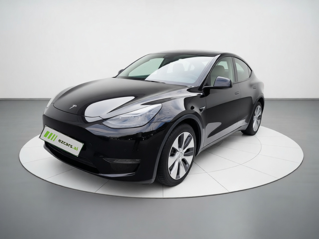 Model Y 2021 Standard Range RWD