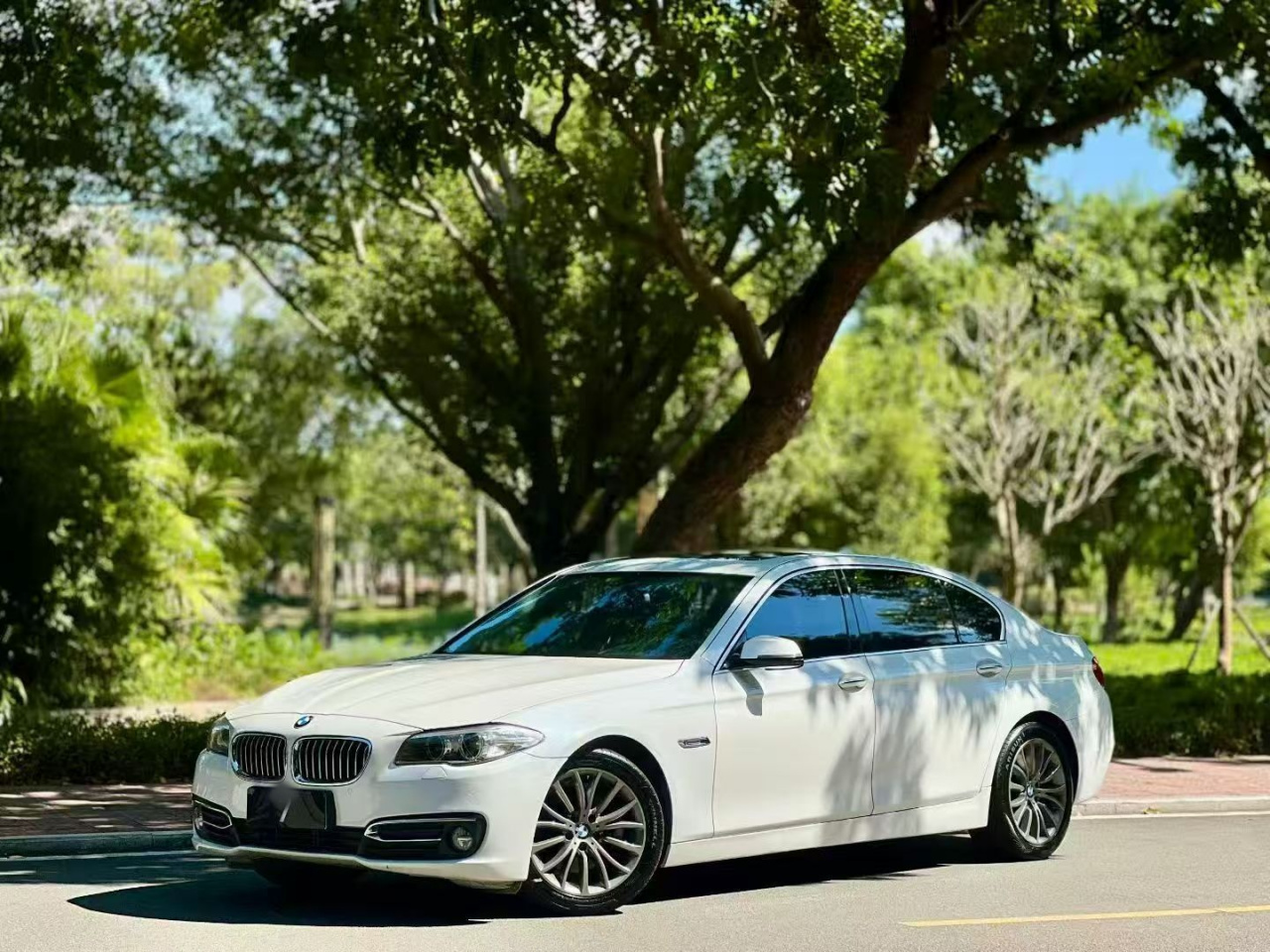 5 Series 2014 525Li Luxury Design Package