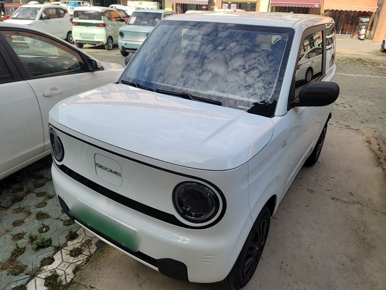 2023 Panda mini 200km Endurance Bear