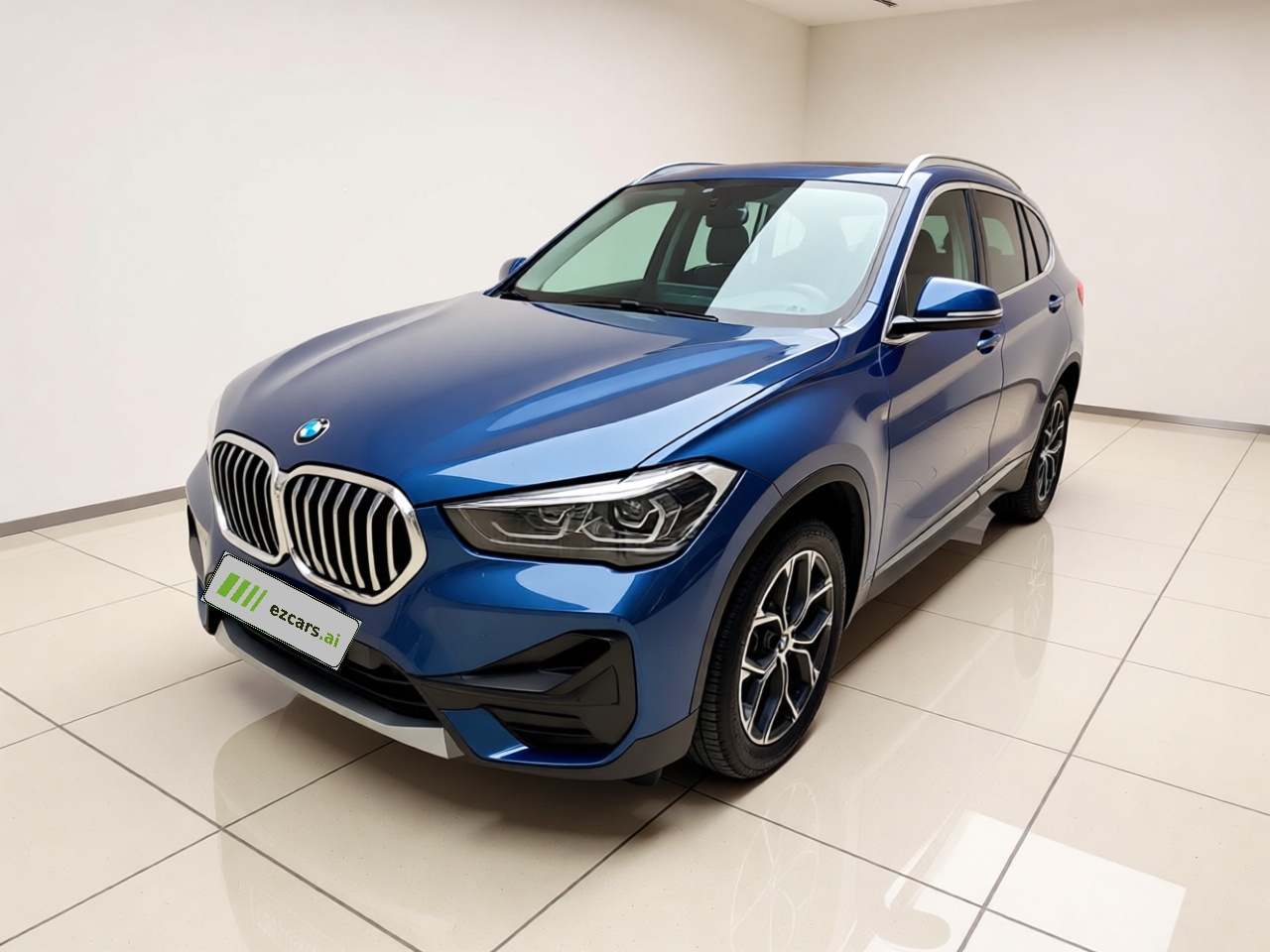 X1 2021 sDrive25Li Leading