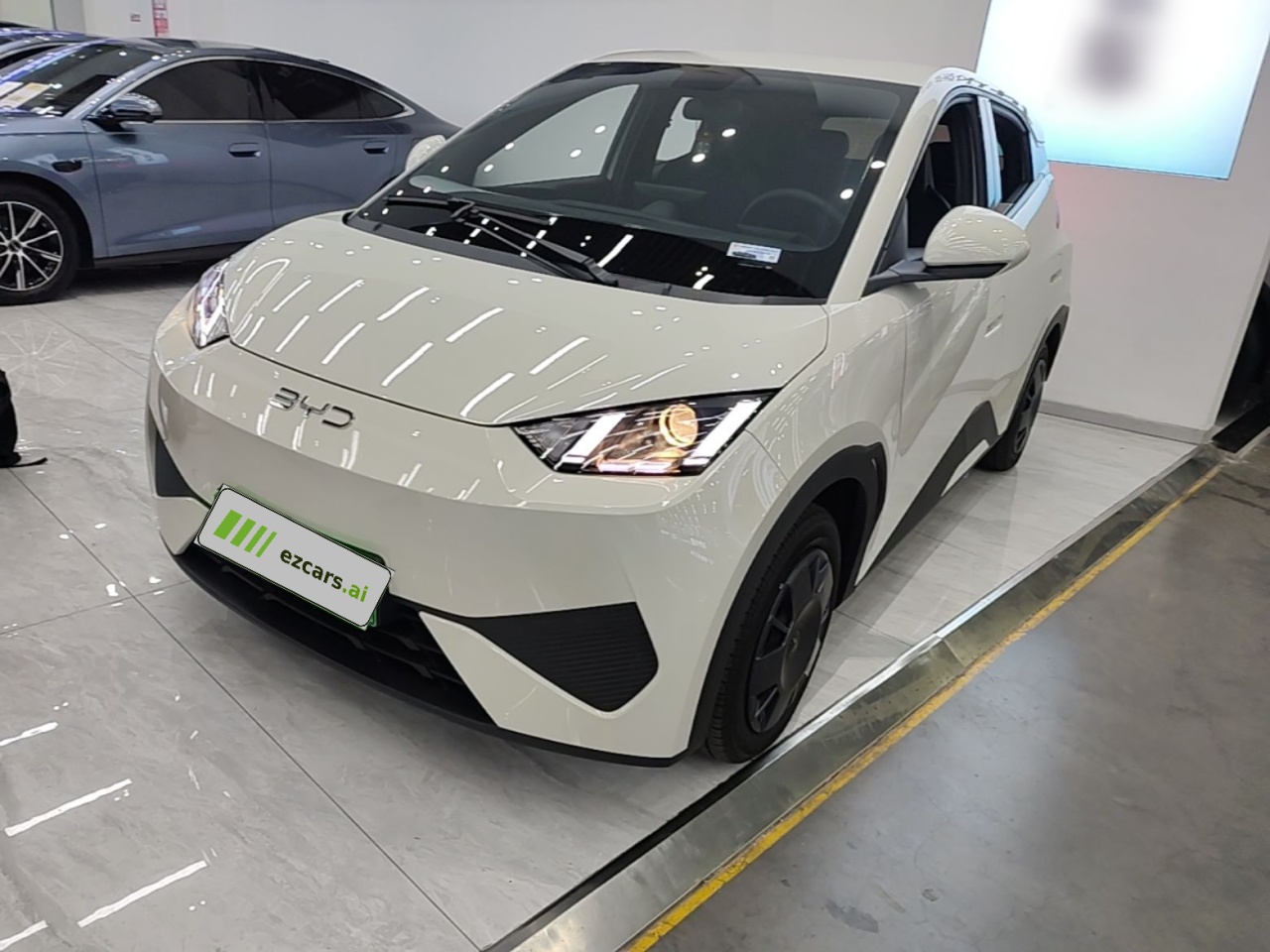 Seagull 2025 ADAS 305km