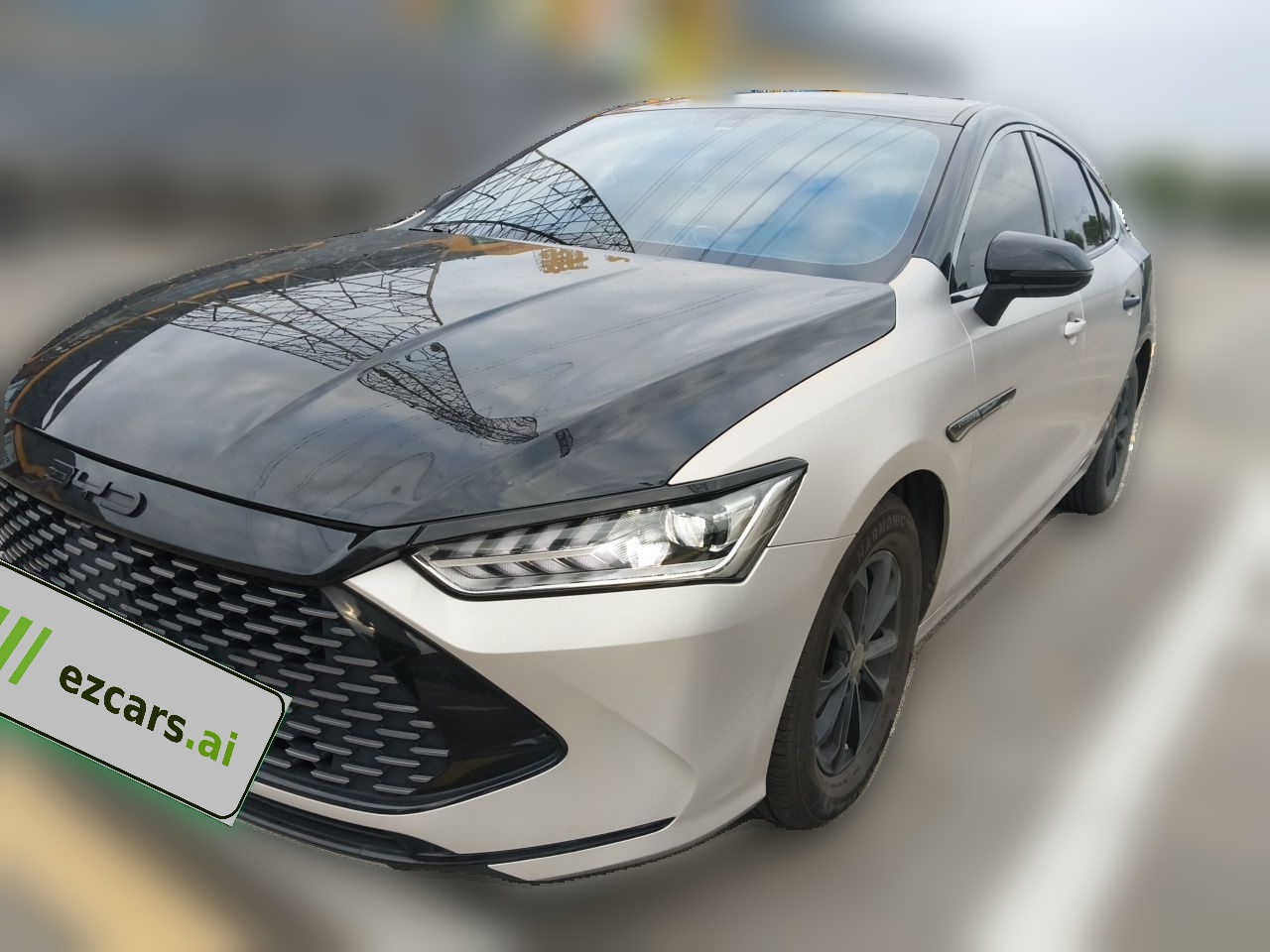 Qin PLUS 2024 Honor DM-i 55KM Leading