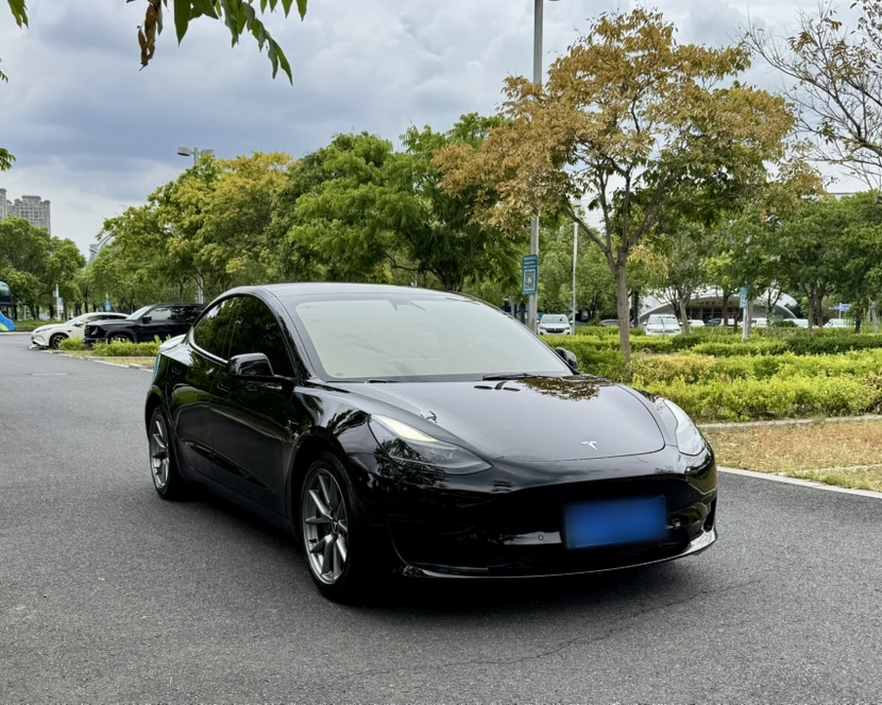 Model 3 2021 Standard Range RWD Upgraded 3D6 photo 3