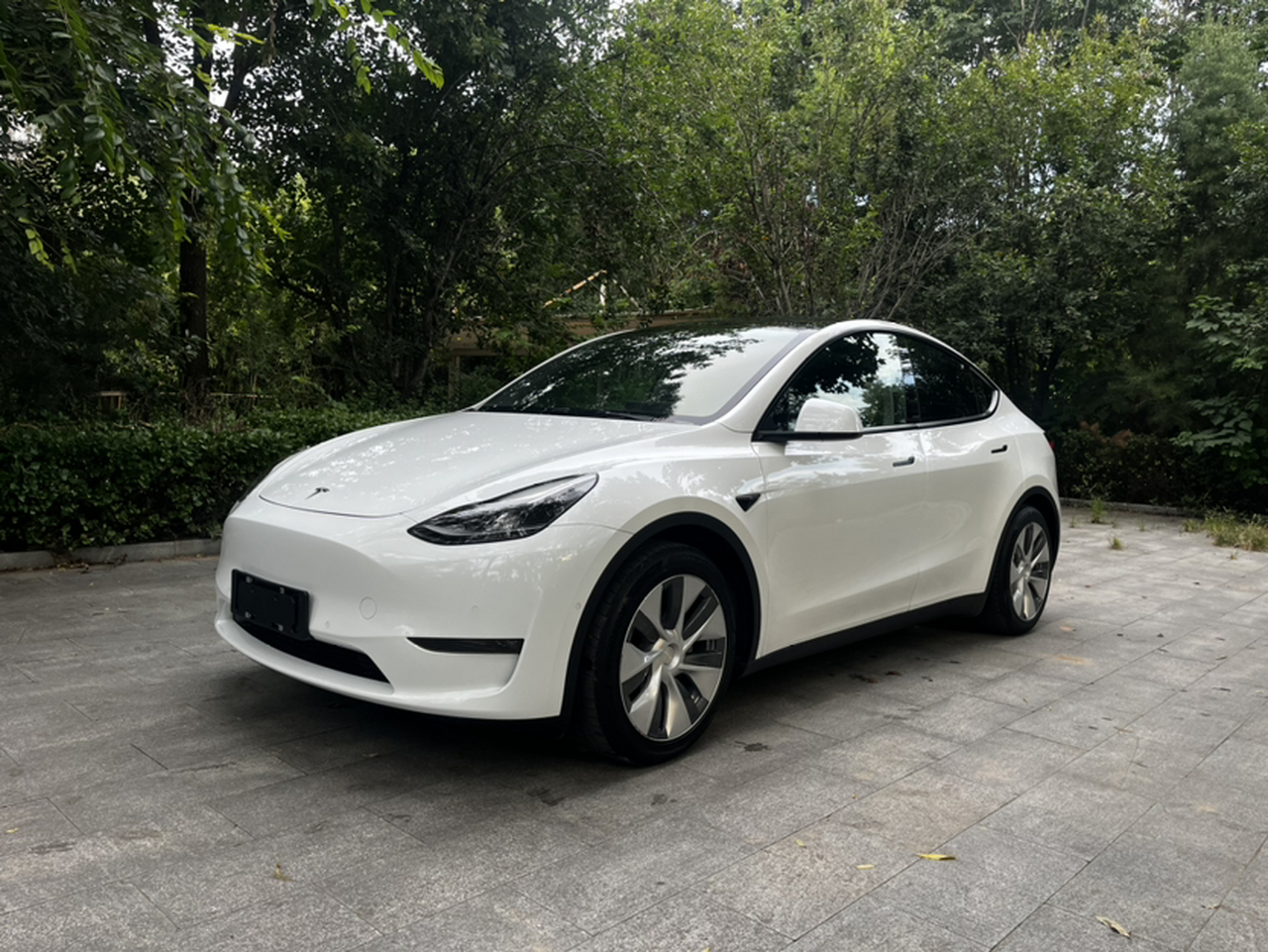 Model Y 2021 Standard Range RWD