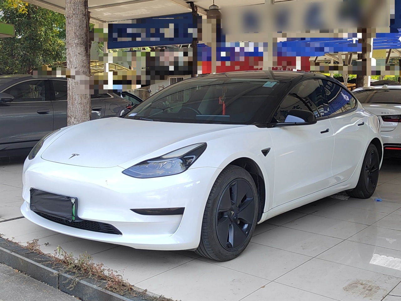 Model 3 2021 Facelift Standard Range RWD Upgraded 3D1