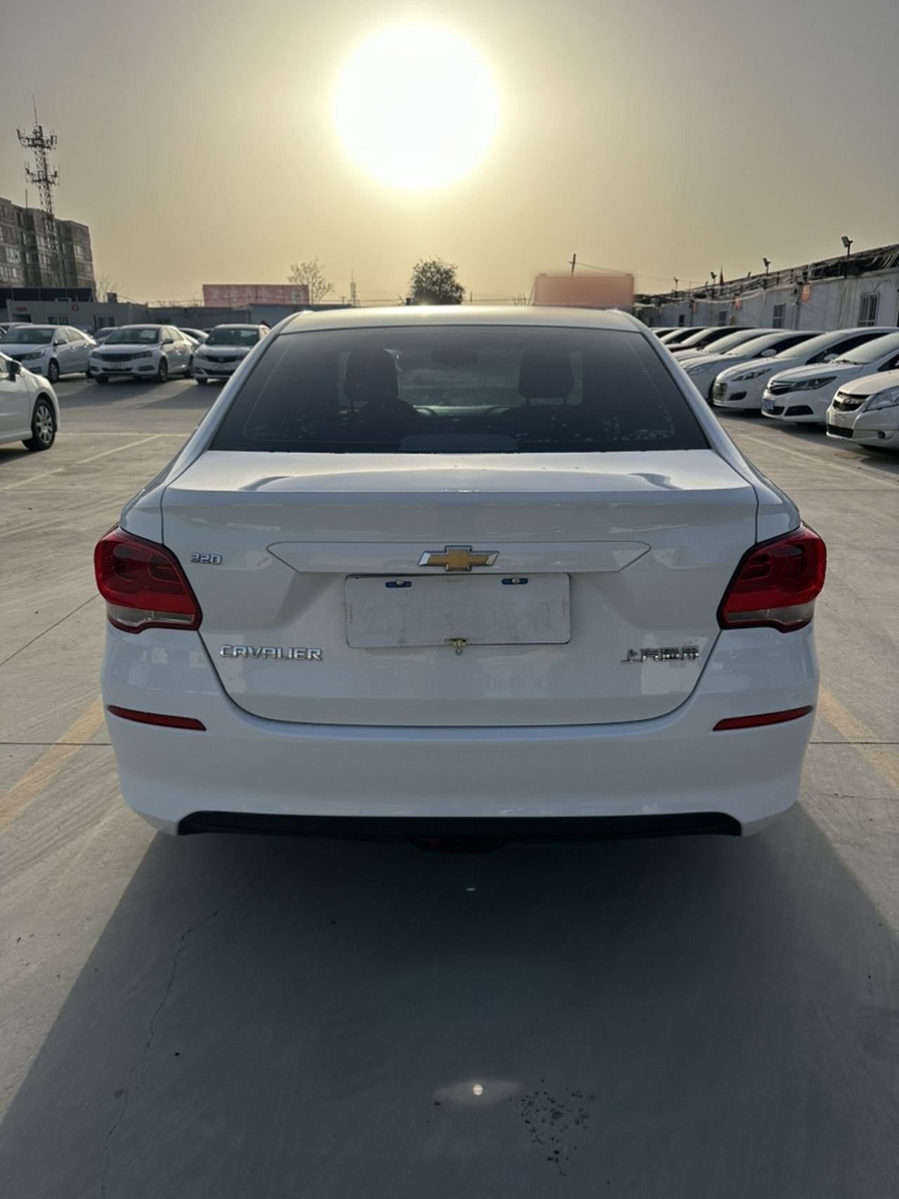 Cavalier 2019 320 AT photo 4