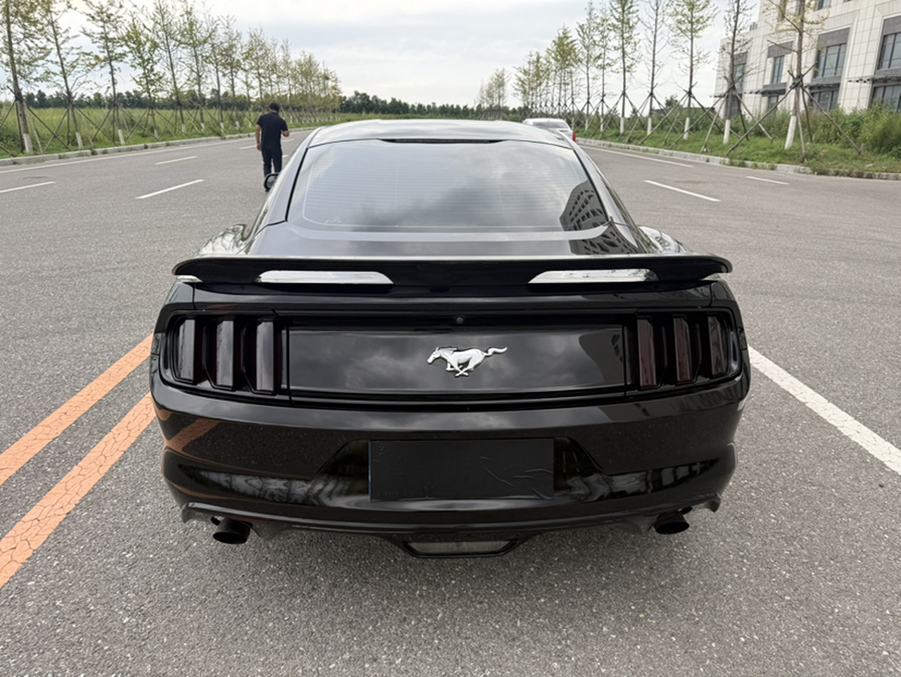 Mustang Parallel Import photo 2