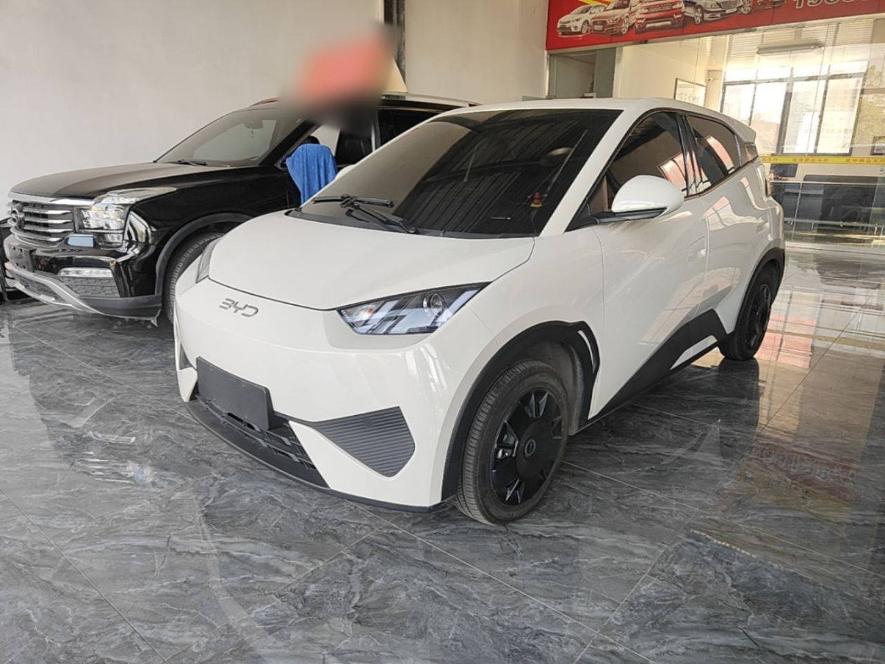 Seagull 2025 ADAS 305km