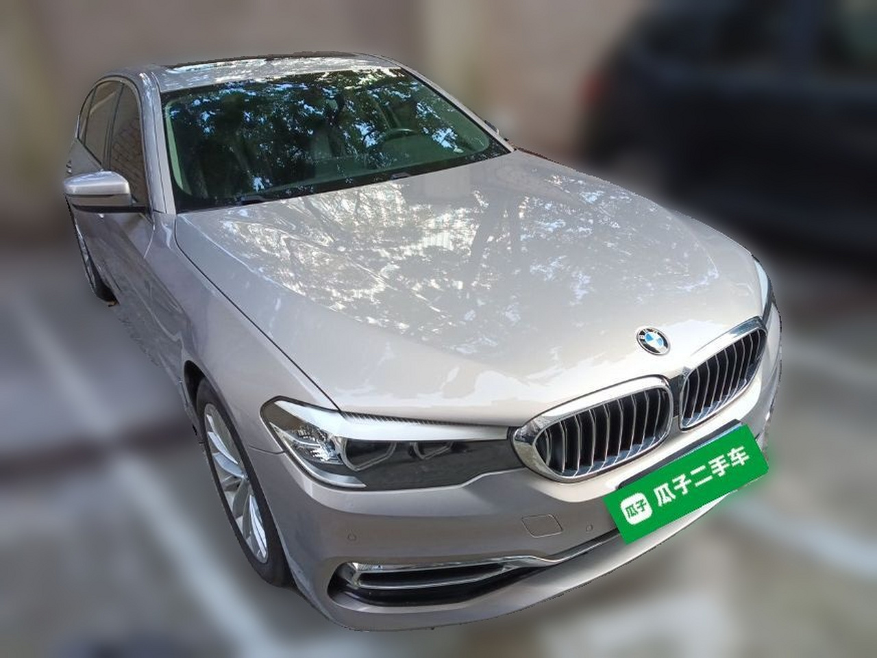 5 Series 2019 530Li Leading Luxury photo 3