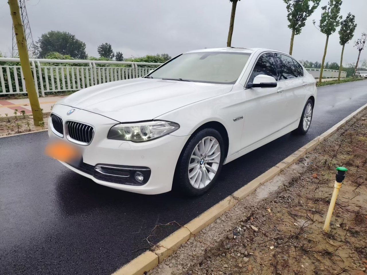 5 Series 2014 525Li Luxury Design Package