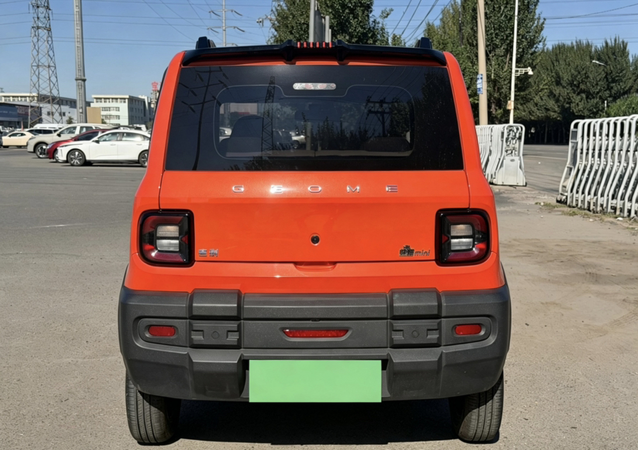2024 200km Panda photo 3