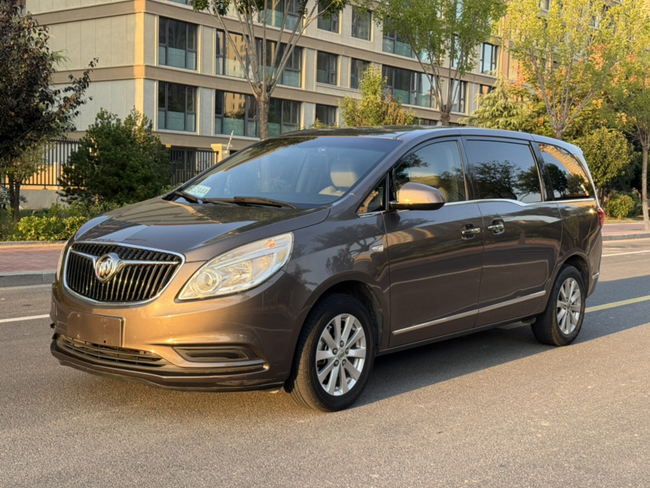 GL8 2017 25S Luxury China V