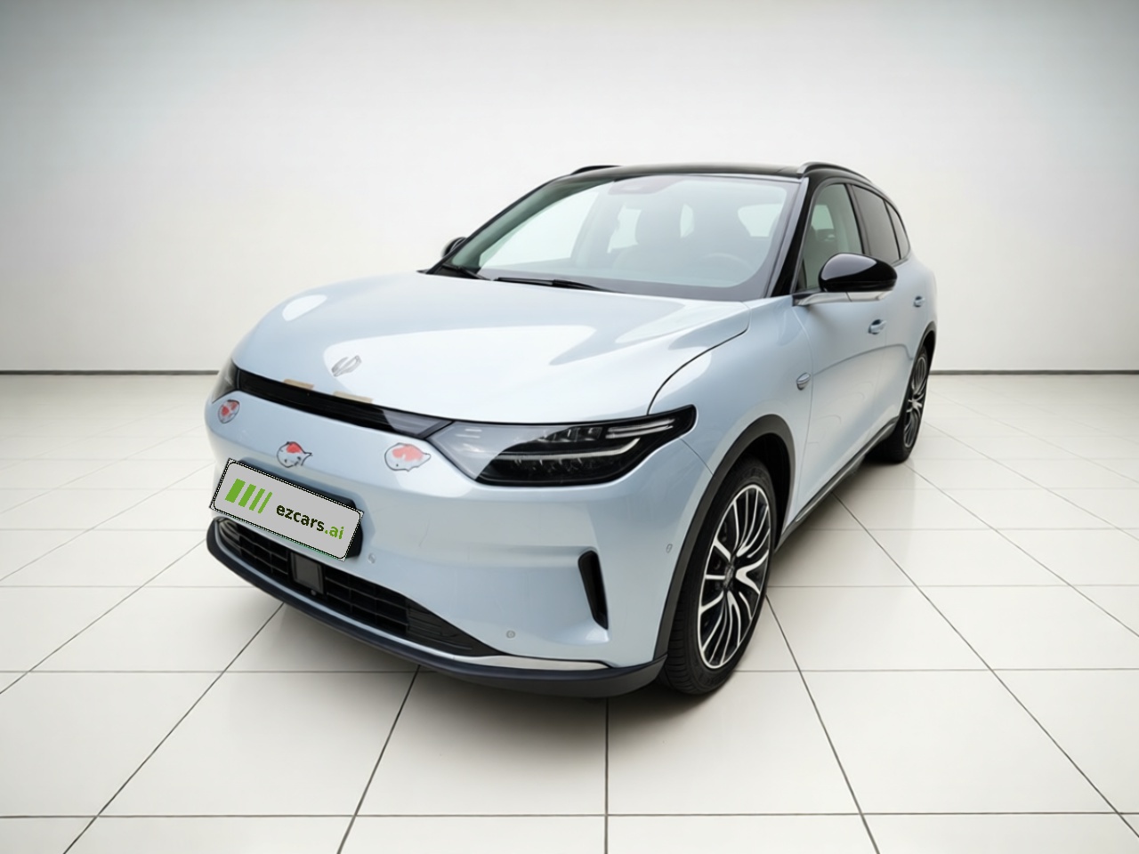 Leapmotor C11 2021 Luxury